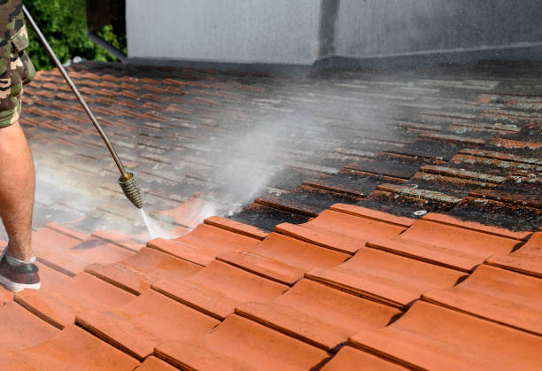 Best Deck Pressure Washing  in Five Points, FL