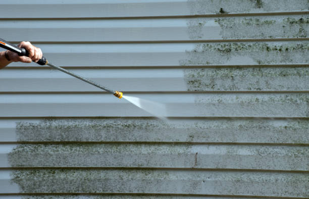 Best Exterior Home Cleaning  in Five Points, FL