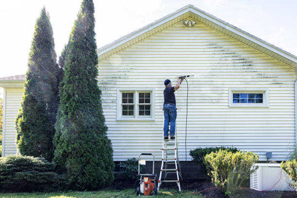 Best Best Pressure Washing Companies  in Five Points, FL
