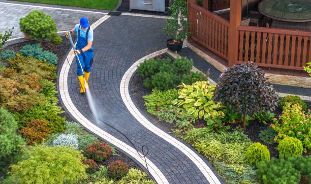Best Affordable Power Washing  in Five Points, FL