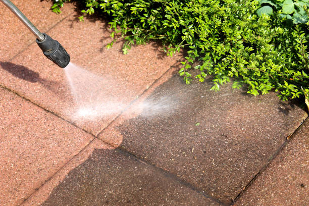 Best Residential Pressure Washing Services  in Five Points, FL